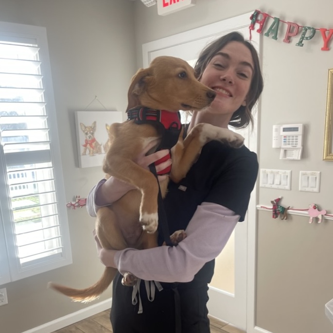 Chelsea Olender - Veterinary Assistant Chelsea Olender - Veterinary Assistant