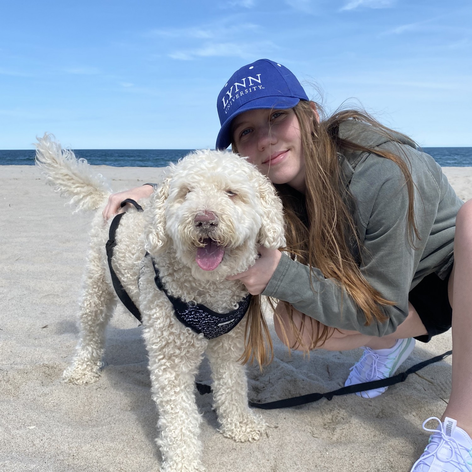 Carly Romeo - Veterinary Assistant Carly Romeo - Veterinary Assistant